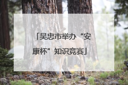 吴忠市举办“安康杯”知识竞赛