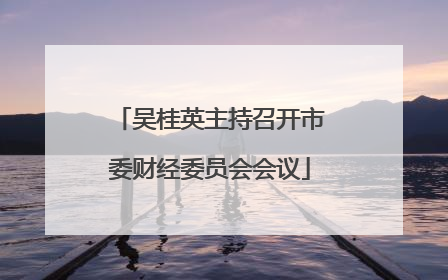 吴桂英主持召开市委财经委员会会议