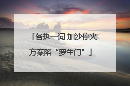 各执一词 加沙停火方案陷“罗生门”