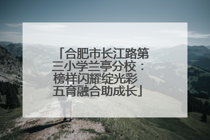 合肥市长江路第三小学兰亭分校：榜样闪耀绽光彩 五育融合助成长