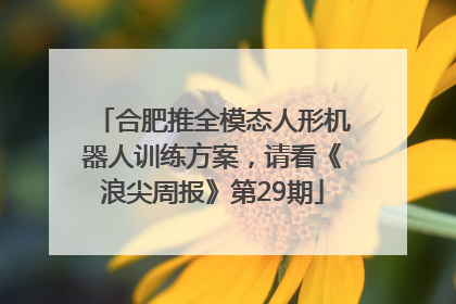 合肥推全模态人形机器人训练方案，请看《浪尖周报》第29期