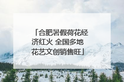 合肥暑假荷花经济红火 全国多地花艺文创销售旺