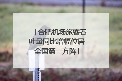 合肥机场旅客吞吐量同比增幅位居全国第一方阵