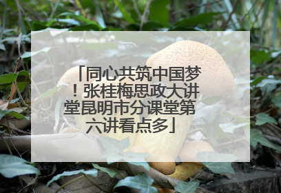 同心共筑中国梦！张桂梅思政大讲堂昆明市分课堂第六讲看点多