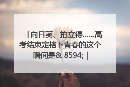向日葵、拍立得……高考结束定格下青春的这个瞬间是& 8594;｜2025四川高考