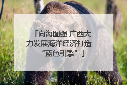向海图强 广西大力发展海洋经济打造“蓝色引擎”