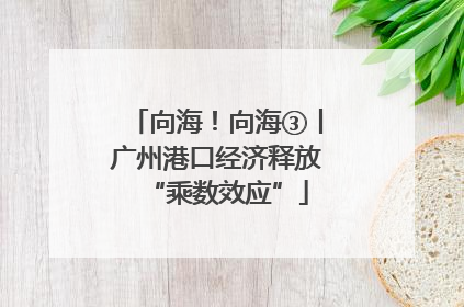 向海！向海③丨广州港口经济释放“乘数效应”