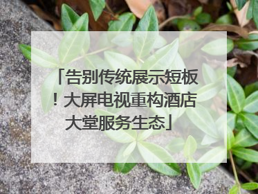 告别传统展示短板！大屏电视重构酒店大堂服务生态