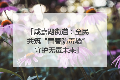 咸嘉湖街道：全民共筑“青春防毒墙” 守护无毒未来