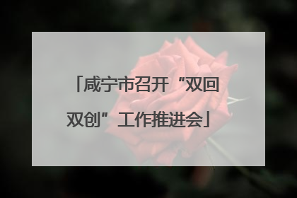 咸宁市召开“双回双创”工作推进会