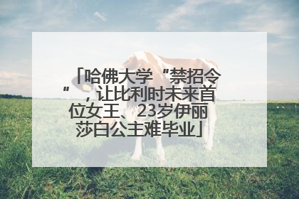 哈佛大学“禁招令”，让比利时未来首位女王、23岁伊丽莎白公主难毕业