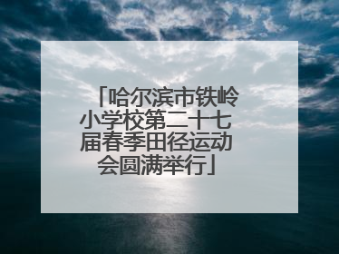 哈尔滨市铁岭小学校第二十七届春季田径运动会圆满举行