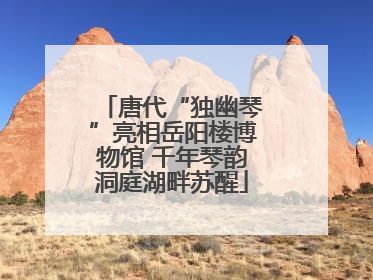 唐代“独幽琴”亮相岳阳楼博物馆 千年琴韵洞庭湖畔苏醒