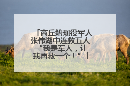商丘籍现役军人张伟湖中连救五人 “我是军人，让我再救一个！”