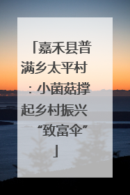 嘉禾县普满乡太平村：小菌菇撑起乡村振兴“致富伞”