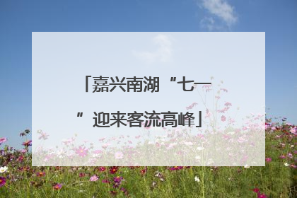 嘉兴南湖“七一”迎来客流高峰