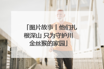 图片故事丨他们扎根深山 只为守护川金丝猴的家园