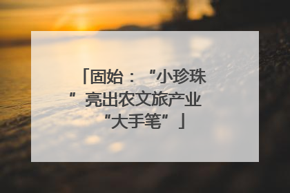 固始：“小珍珠”亮出农文旅产业“大手笔”