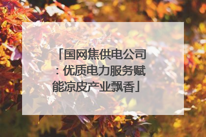 国网焦供电公司：优质电力服务赋能凉皮产业飘香