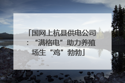国网上杭县供电公司：“满格电”助力养殖场生“鸡”勃勃