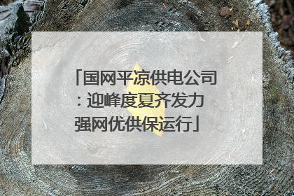 国网平凉供电公司：迎峰度夏齐发力 强网优供保运行