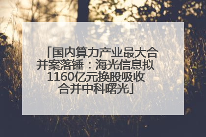 国内算力产业最大合并案落锤：海光信息拟1160亿元换股吸收合并中科曙光