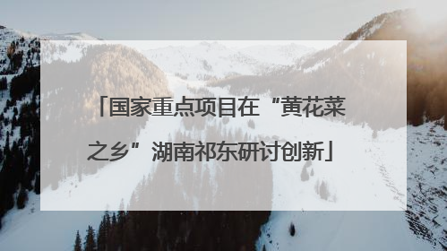 国家重点项目在“黄花菜之乡”湖南祁东研讨创新