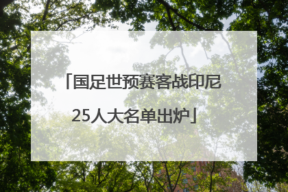 国足世预赛客战印尼25人大名单出炉