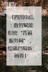 四川电信：数智赋能织密“普遍服务网”，绘就巴蜀新画卷