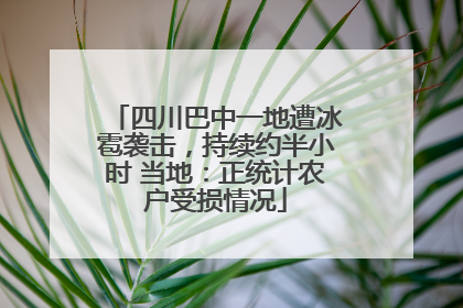 四川巴中一地遭冰雹袭击，持续约半小时 当地：正统计农户受损情况