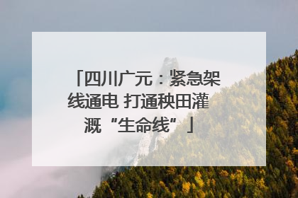 四川广元：紧急架线通电 打通秧田灌溉“生命线”