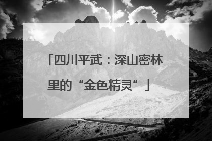 四川平武：深山密林里的“金色精灵”