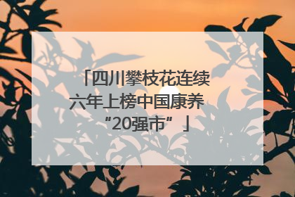 四川攀枝花连续六年上榜中国康养“20强市”