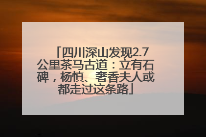 四川深山发现2.7公里茶马古道：立有石碑，杨慎、奢香夫人或都走过这条路