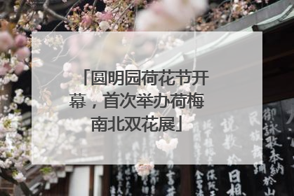 圆明园荷花节开幕，首次举办荷梅南北双花展