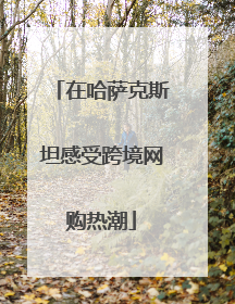 在哈萨克斯坦感受跨境网购热潮