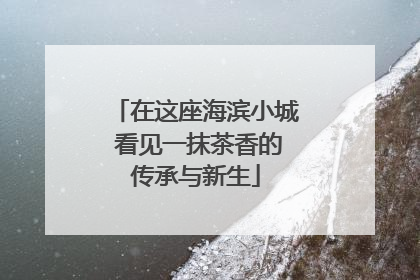 在这座海滨小城 看见一抹茶香的传承与新生