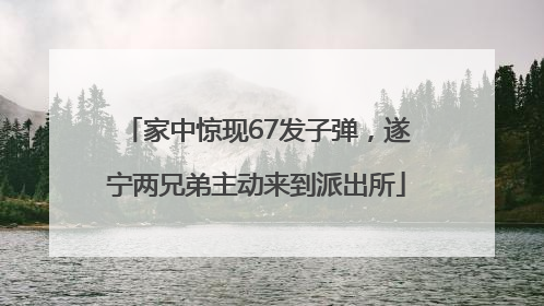 家中惊现67发子弹，遂宁两兄弟主动来到派出所