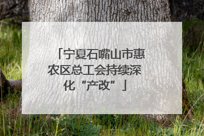宁夏石嘴山市惠农区总工会持续深化“产改”