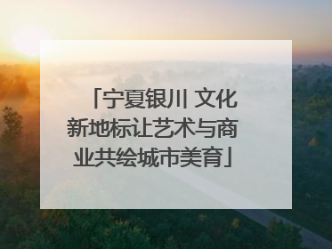 宁夏银川 文化新地标让艺术与商业共绘城市美育