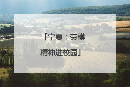 宁夏：劳模精神进校园