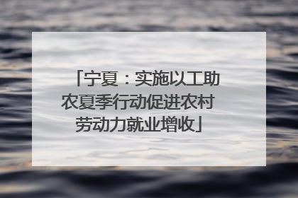 宁夏：实施以工助农夏季行动促进农村劳动力就业增收