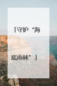 守护“海底雨林”
