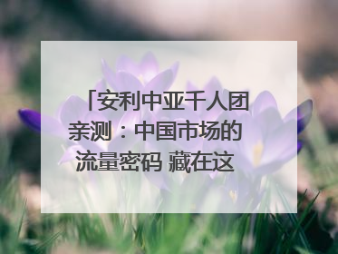 安利中亚千人团亲测：中国市场的流量密码 藏在这些细节里