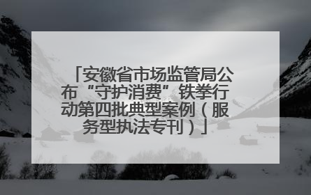 安徽省市场监管局公布“守护消费”铁拳行动第四批典型案例（服务型执法专刊）
