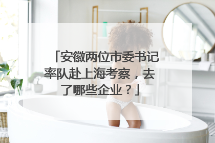 安徽两位市委书记率队赴上海考察，去了哪些企业？