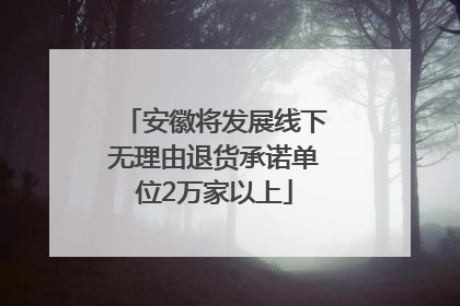 安徽将发展线下无理由退货承诺单位2万家以上