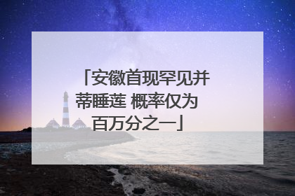 安徽首现罕见并蒂睡莲 概率仅为百万分之一