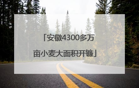 安徽4300多万亩小麦大面积开镰
