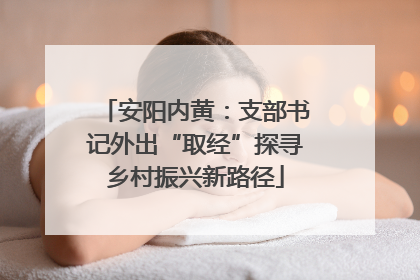 安阳内黄：支部书记外出“取经”探寻乡村振兴新路径